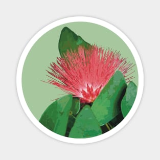 ‘Ōhi’a Lehua, native Hawaiian plant Magnet